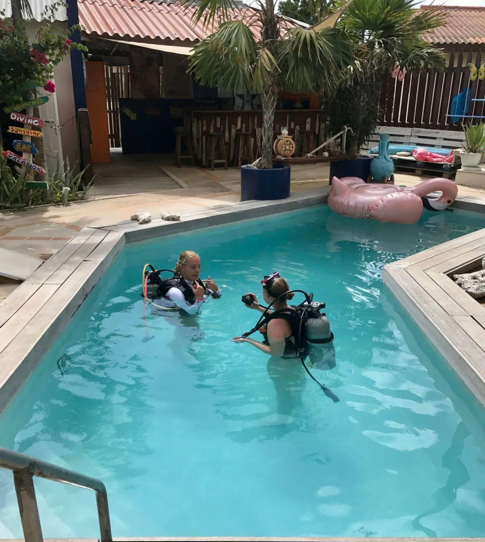 Stay And Dive