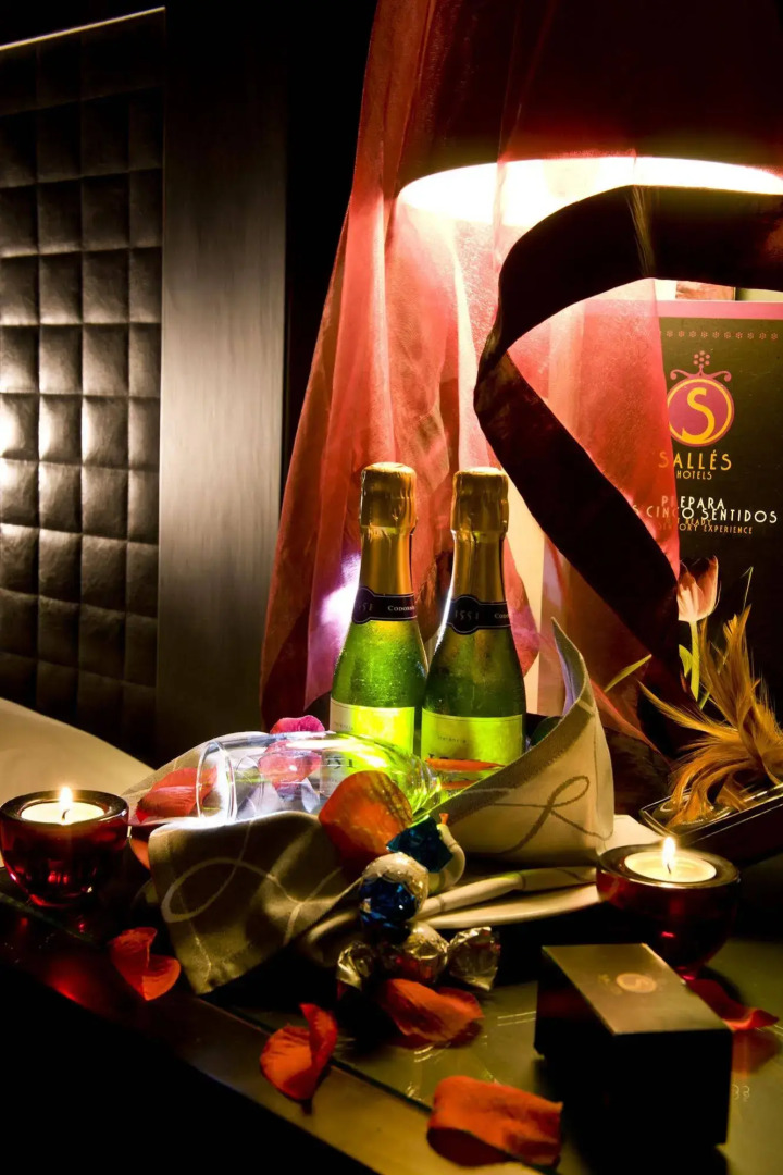 Salles Hotel Aeroport de Girona