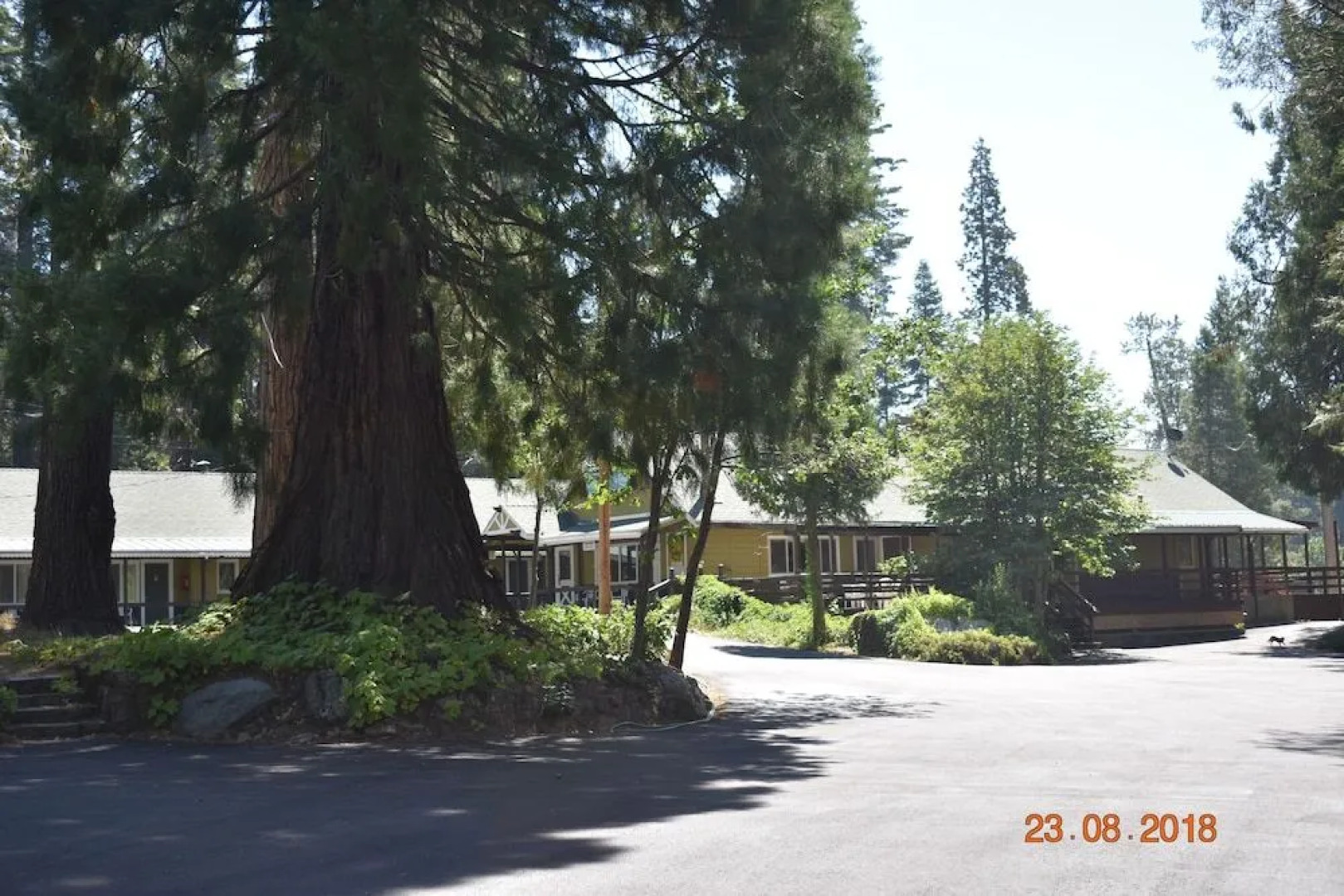 White Chief Mountain Lodge