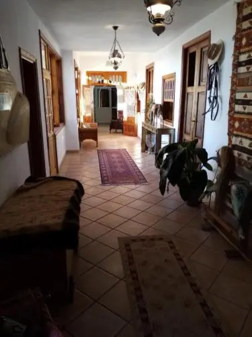 Ziggy's Mountain Retreat