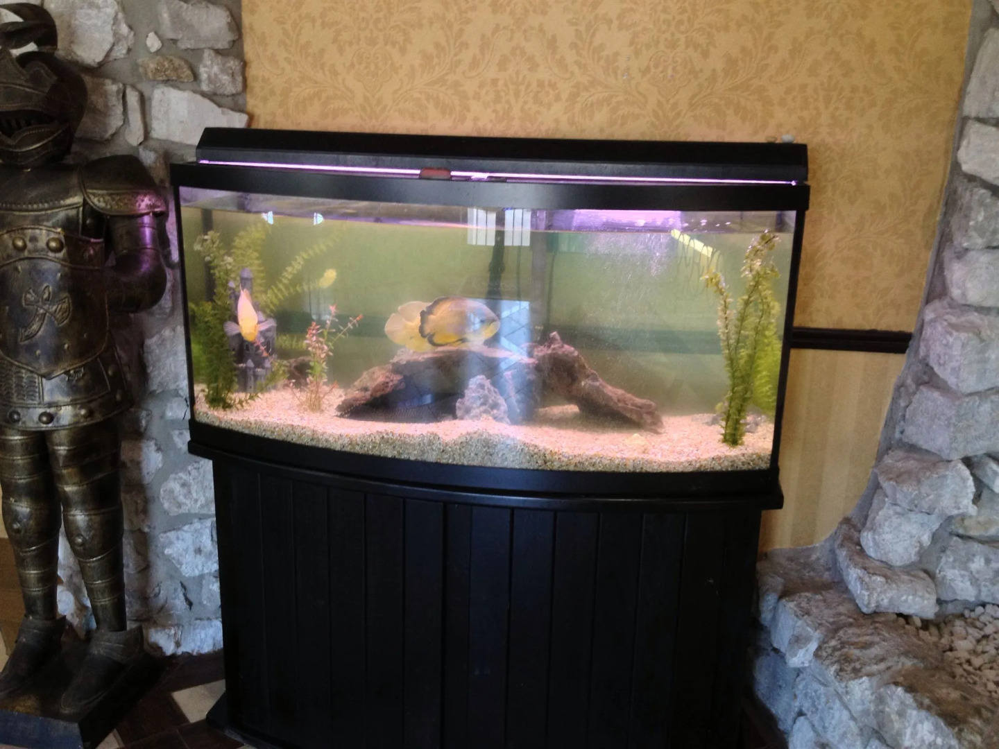 The Stone Castle Hotel & Conference Center