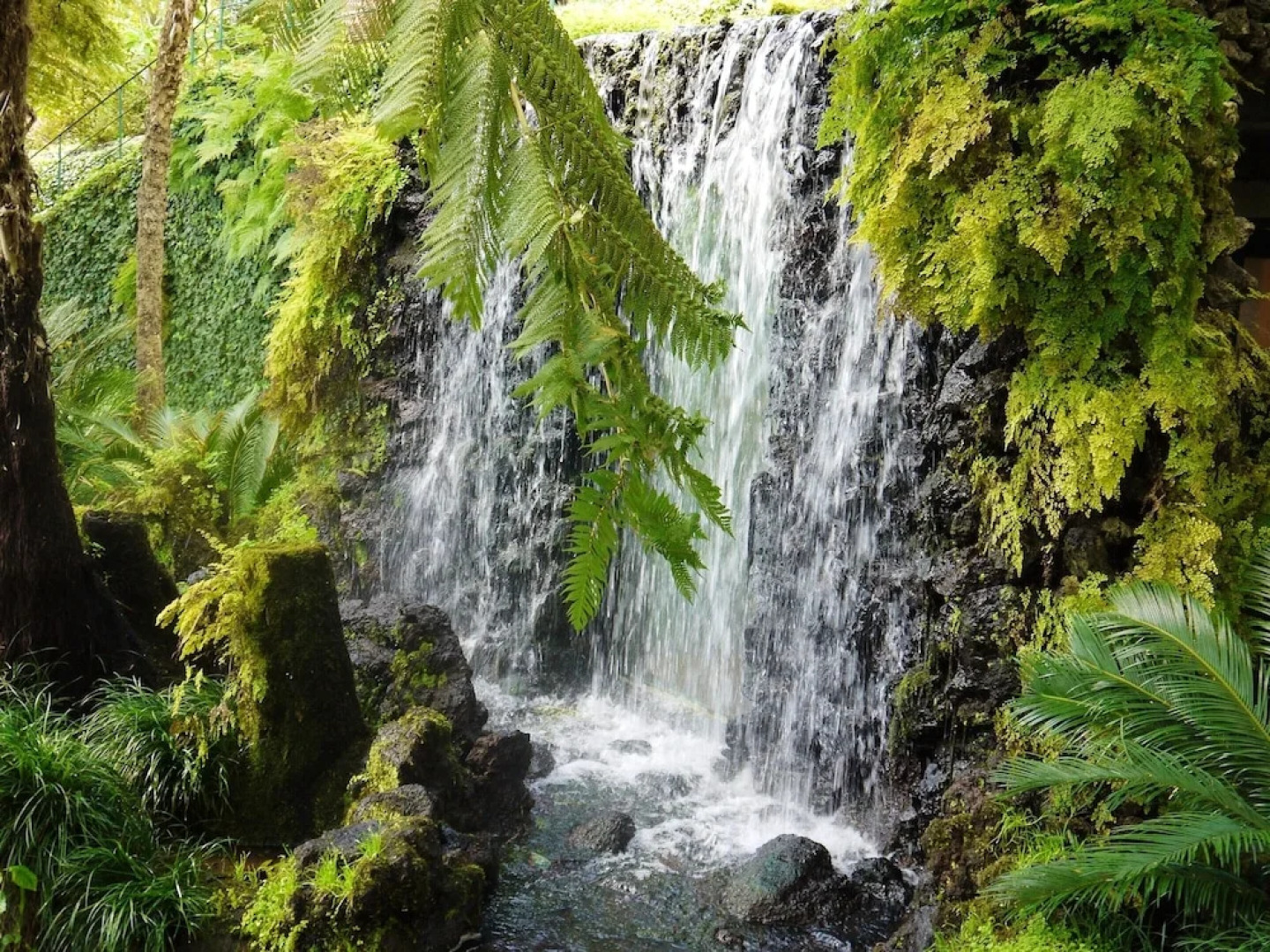 House With 2 Bedrooms in Ponta do Sol, With Wonderful sea View, Furnis