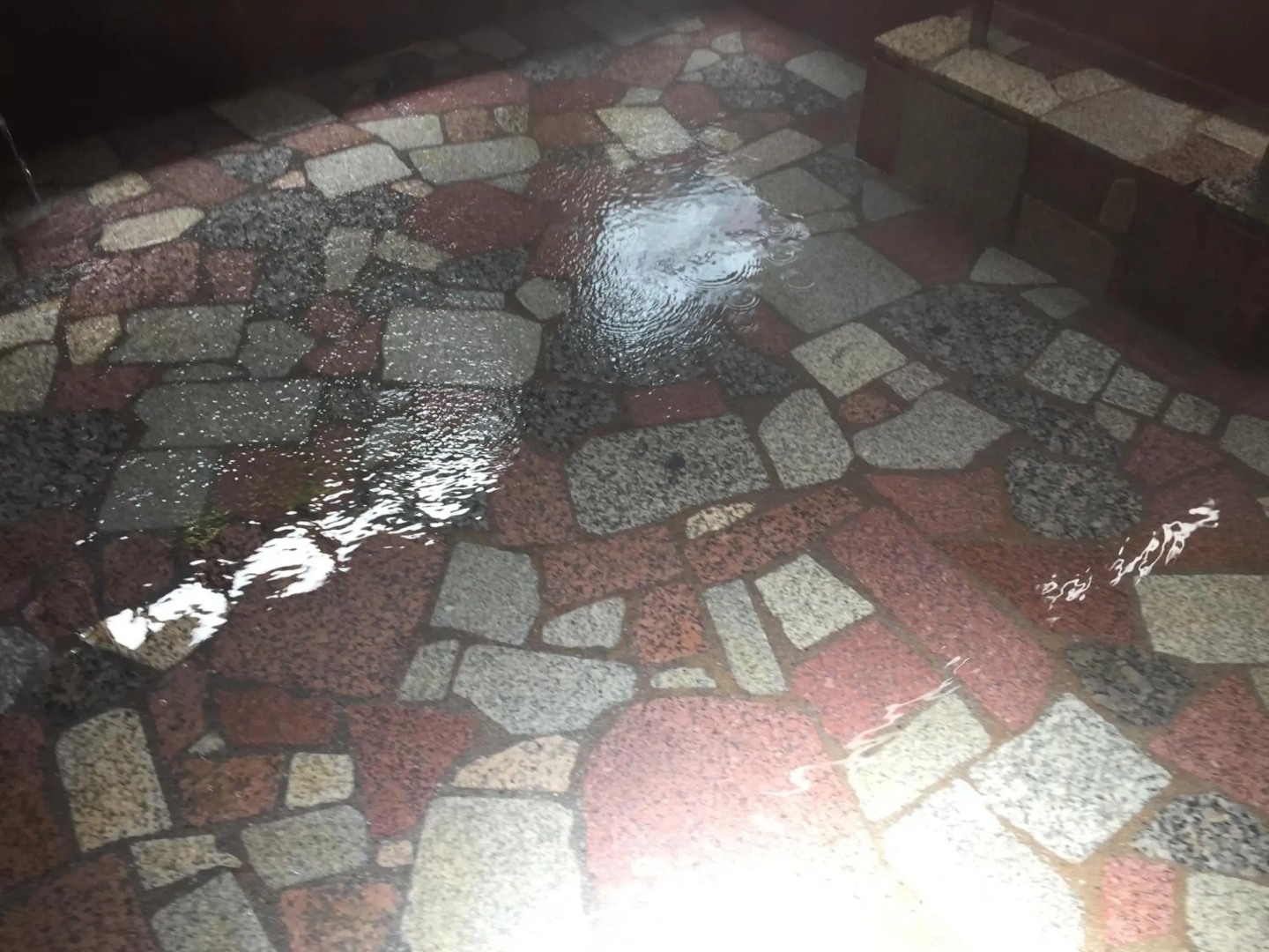 Daimaruya Ryokan