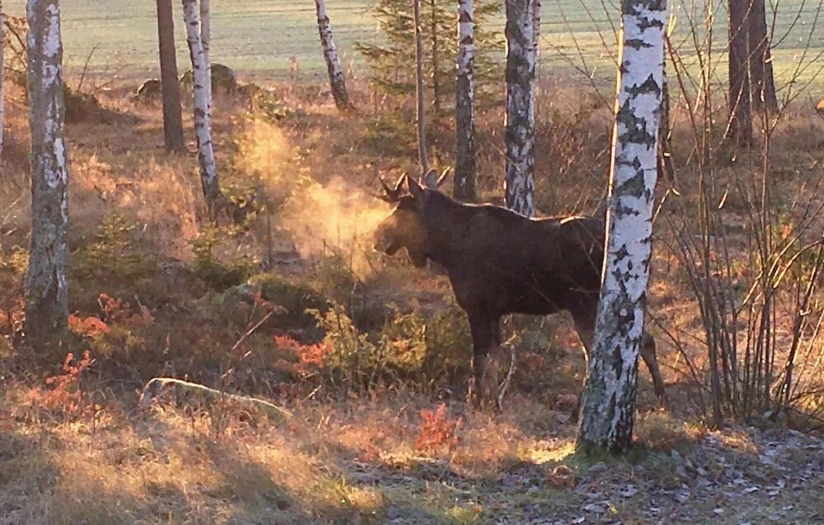 Amazing Home in Eskilstuna With 1 Bedrooms, Sauna and Wifi