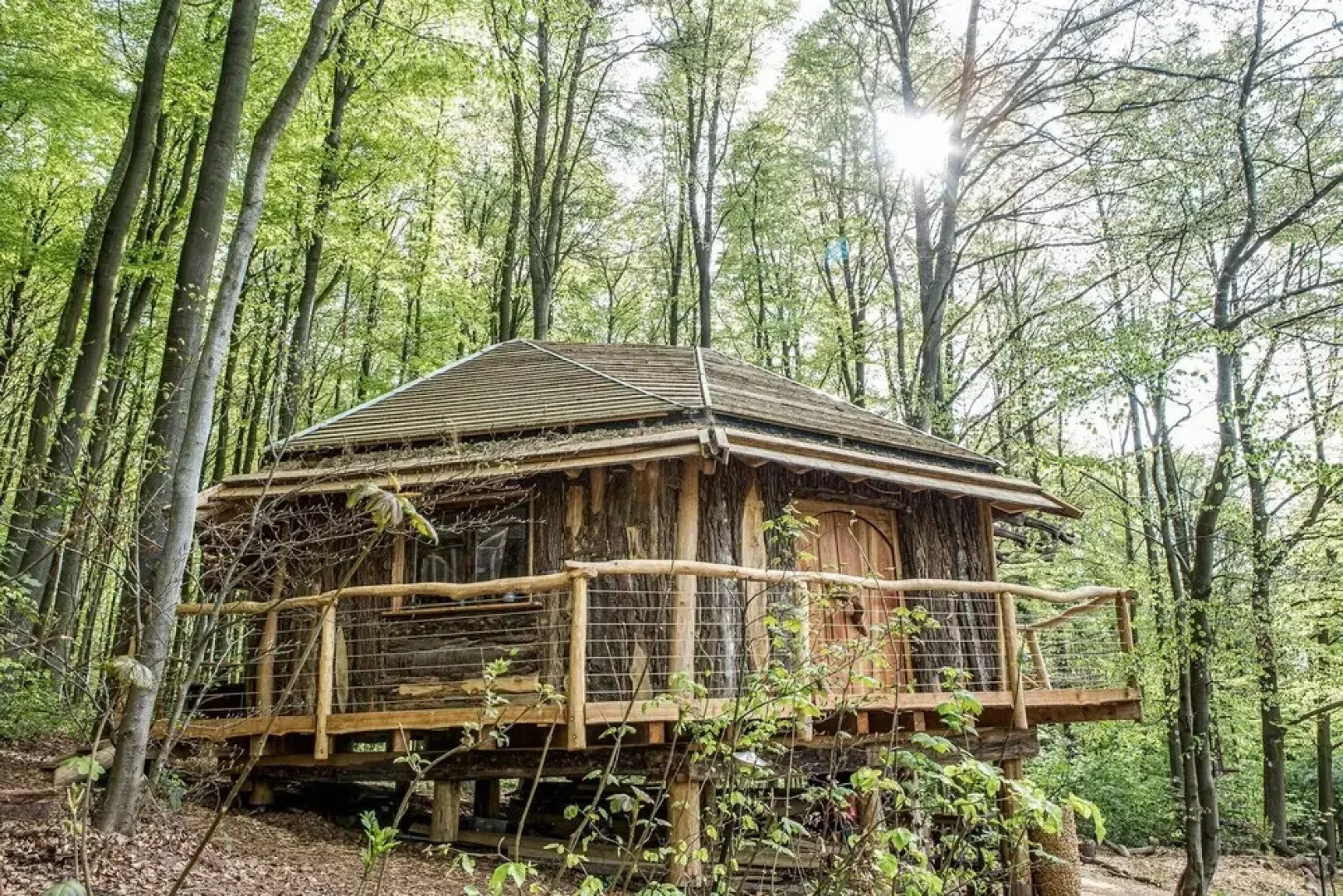 Robins Nest Baumhaushotel