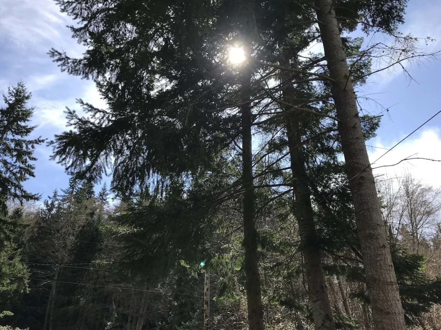 Seattle Urban Village