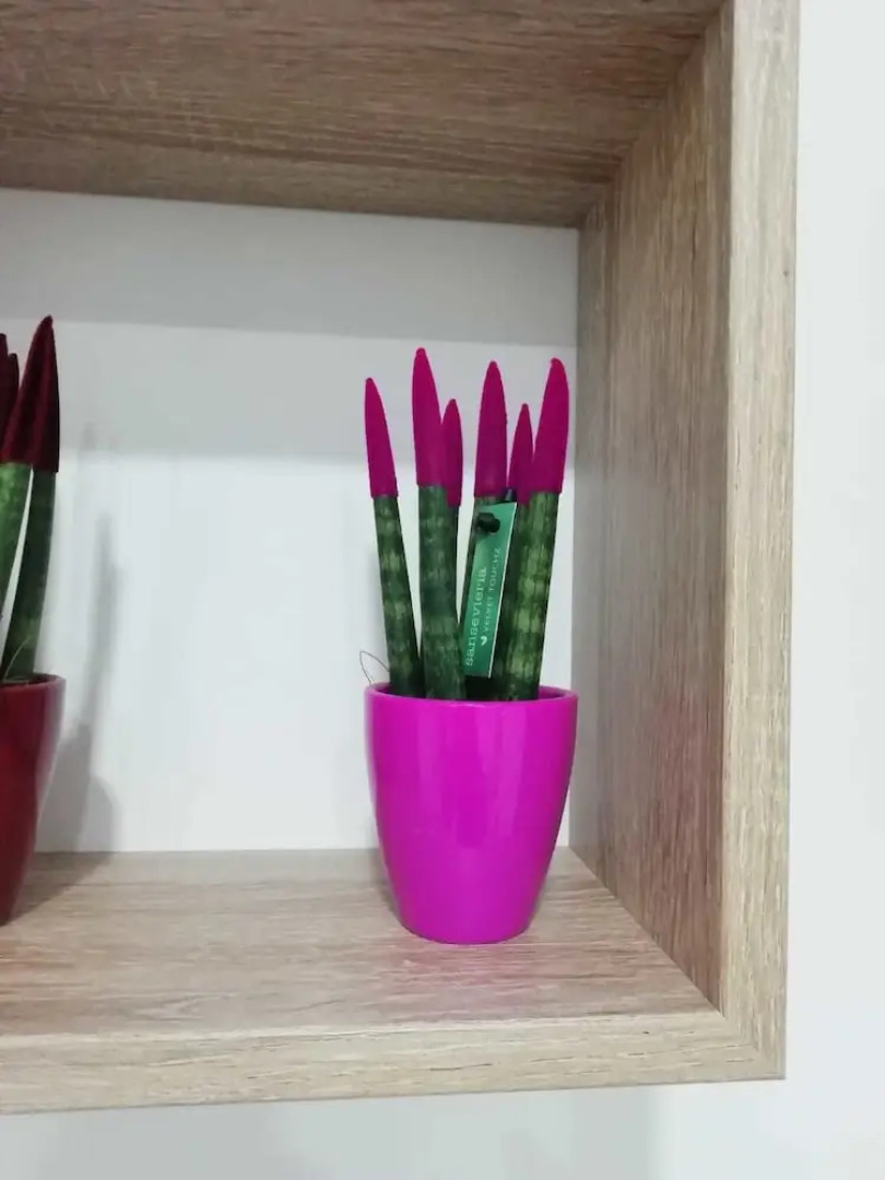 Sabbia Bianca Affittacamere