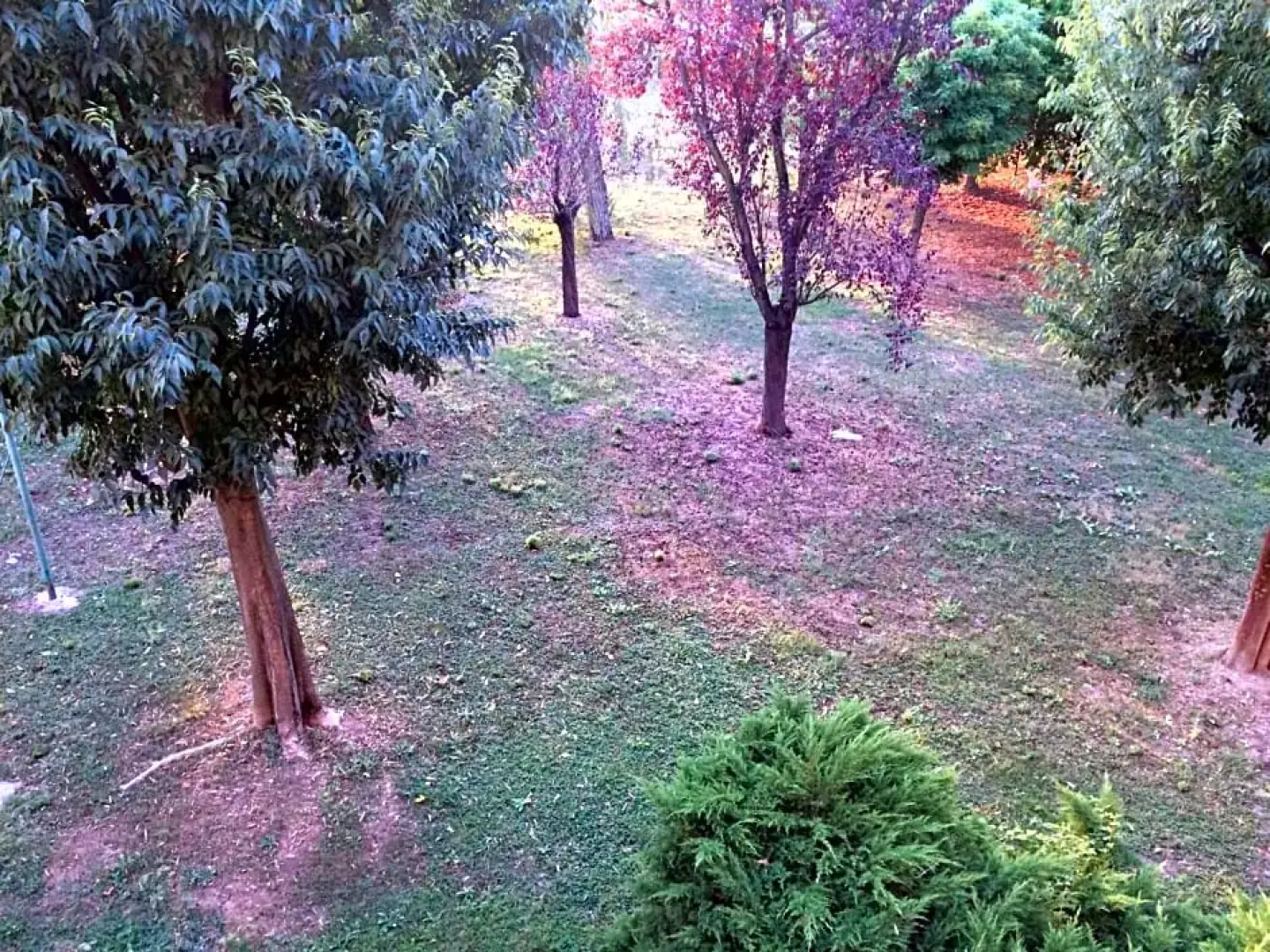 Bed & Breakfast Da Eliana