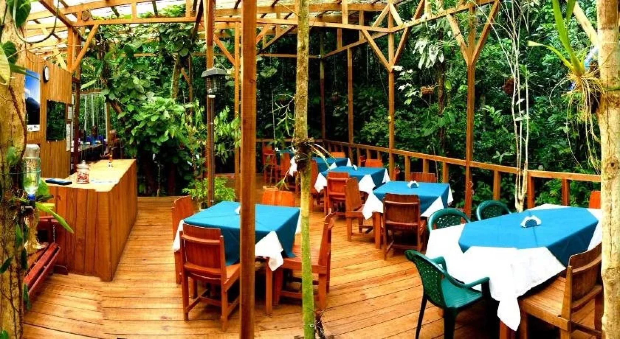 Wagelia Espino Blanco Lodge