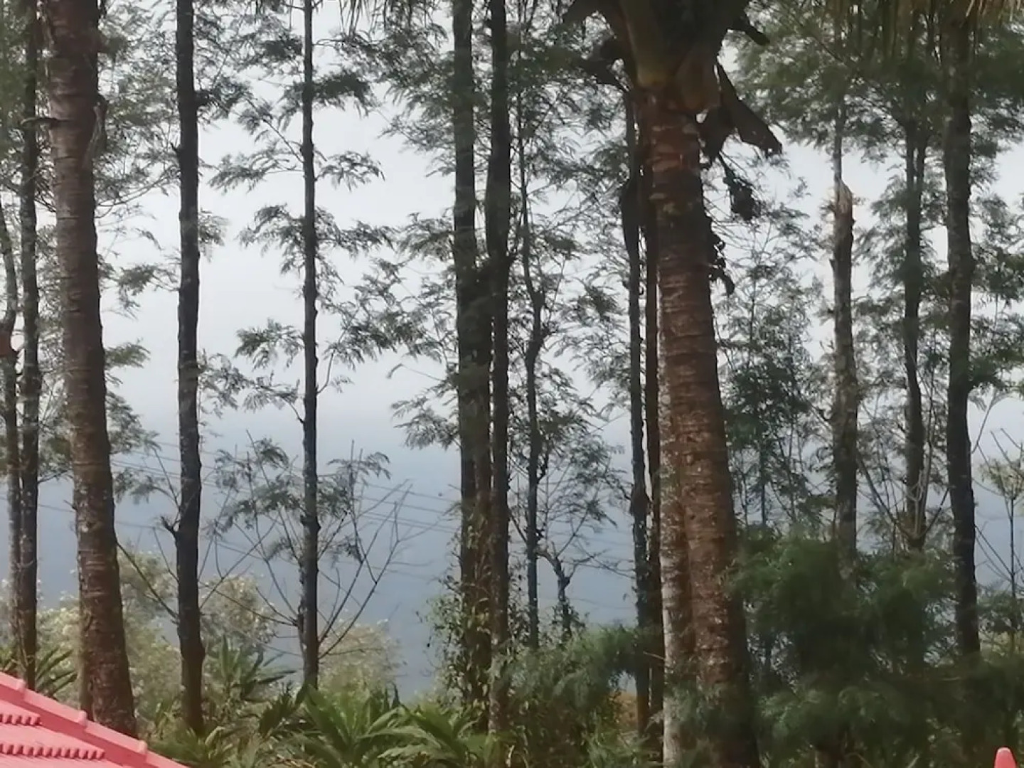 Spice Villas Holiday