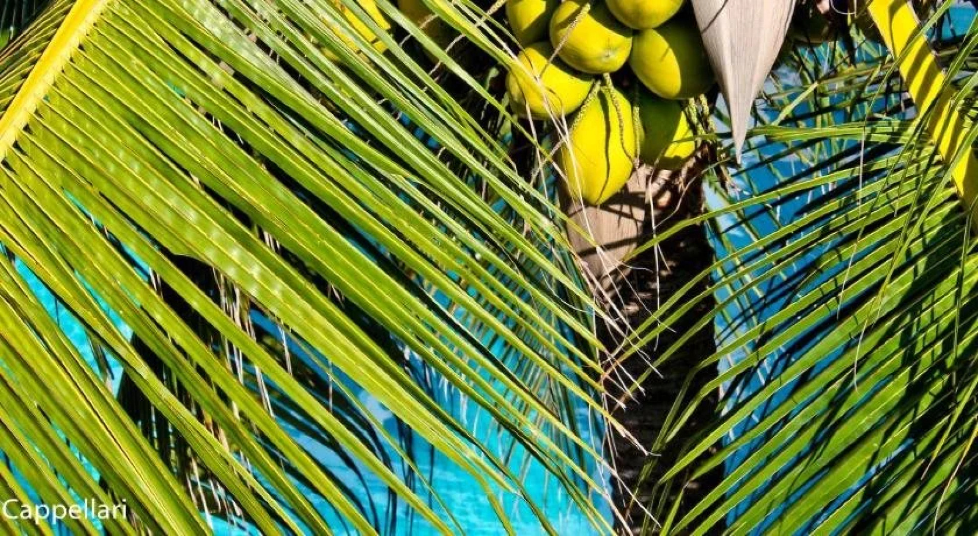 Hotel e Pousada Tatajuba