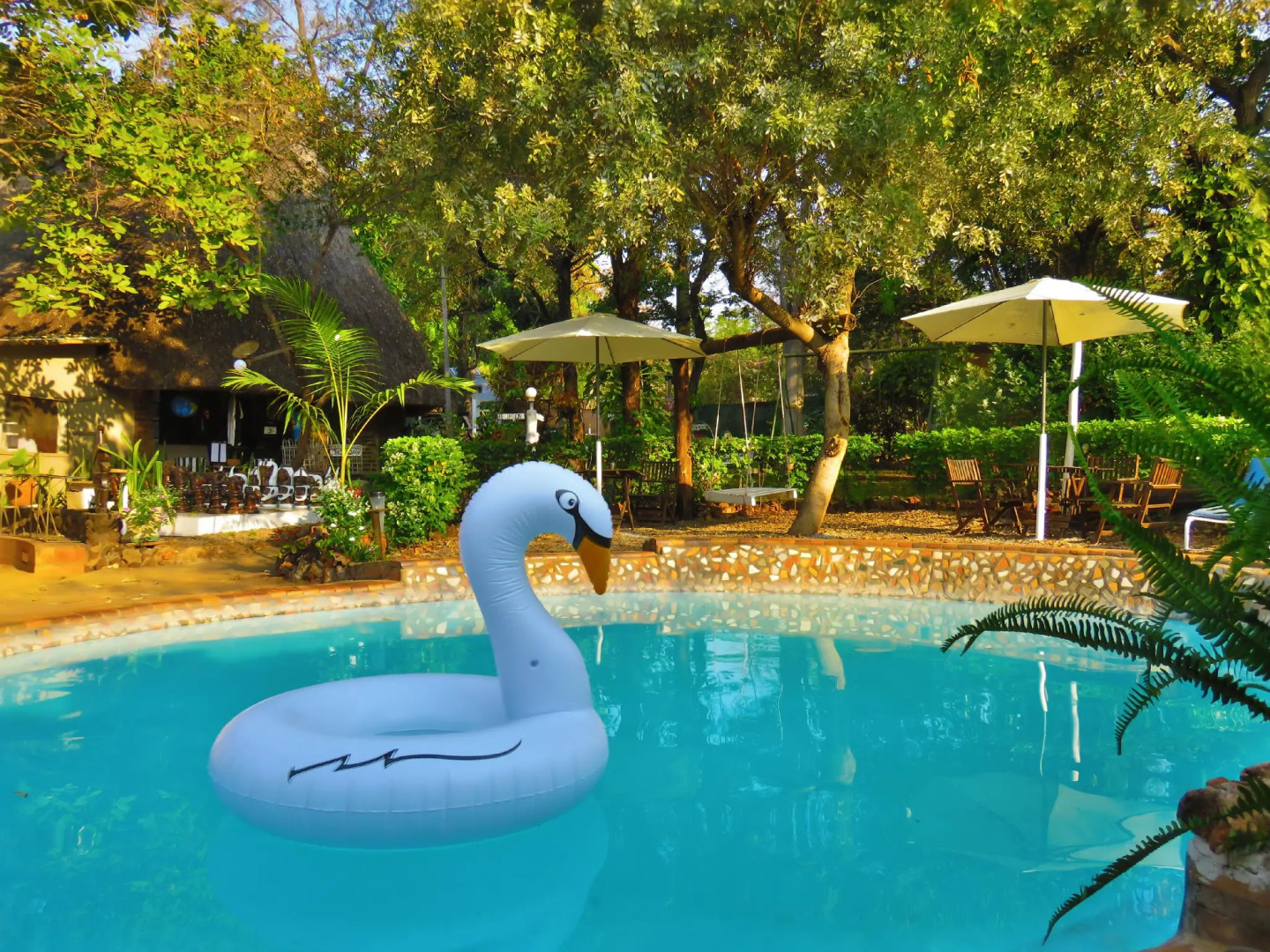 Victoria Falls Backpackers