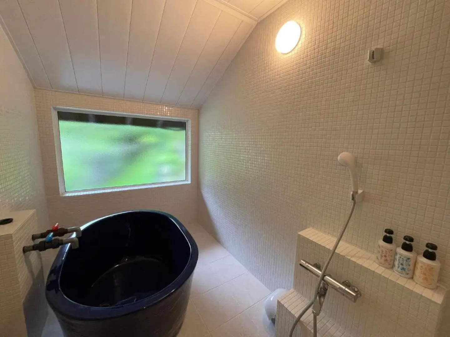 Kusatsu Hotel 1913 Bettei Pedalo