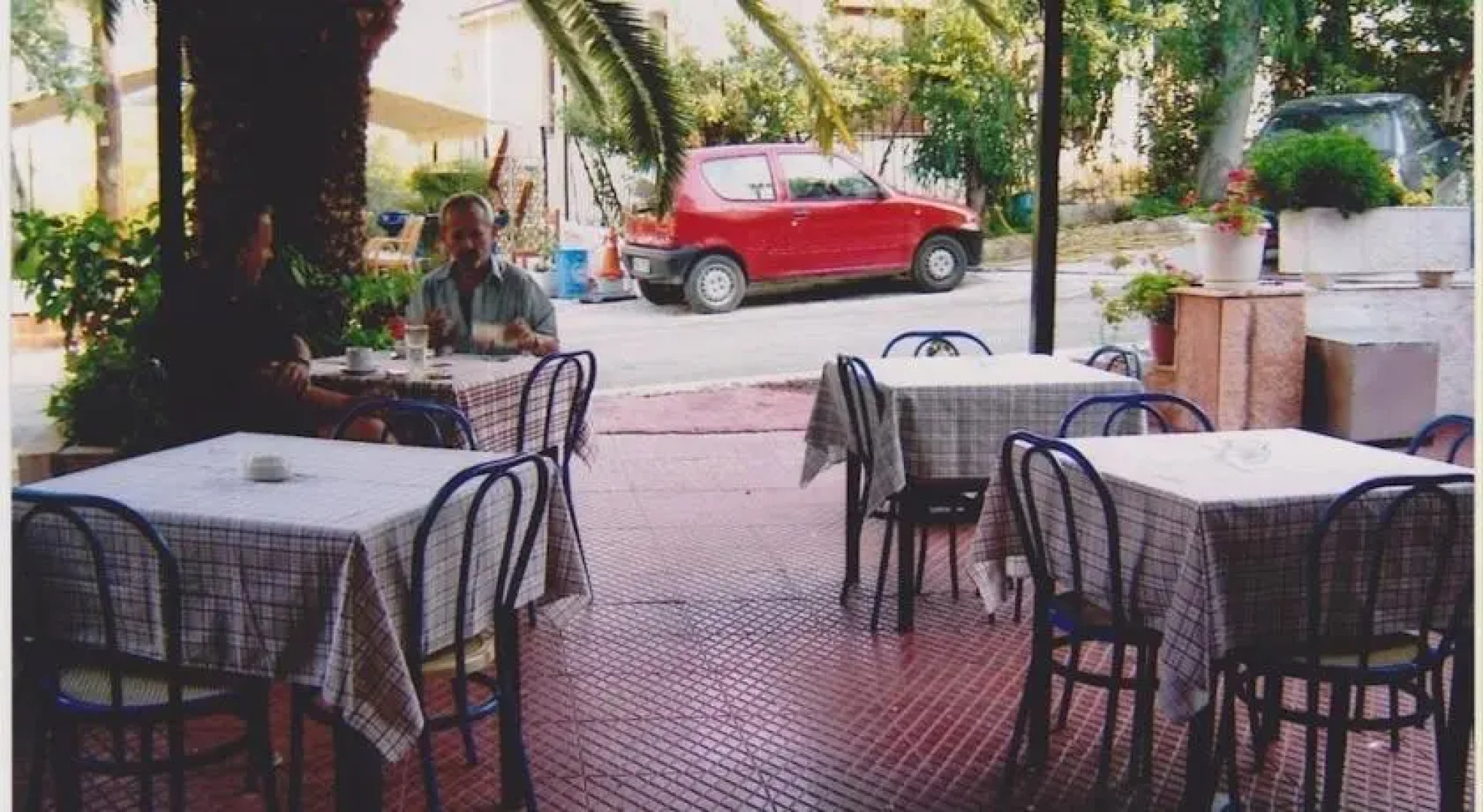 Olympic Holiday Zigos