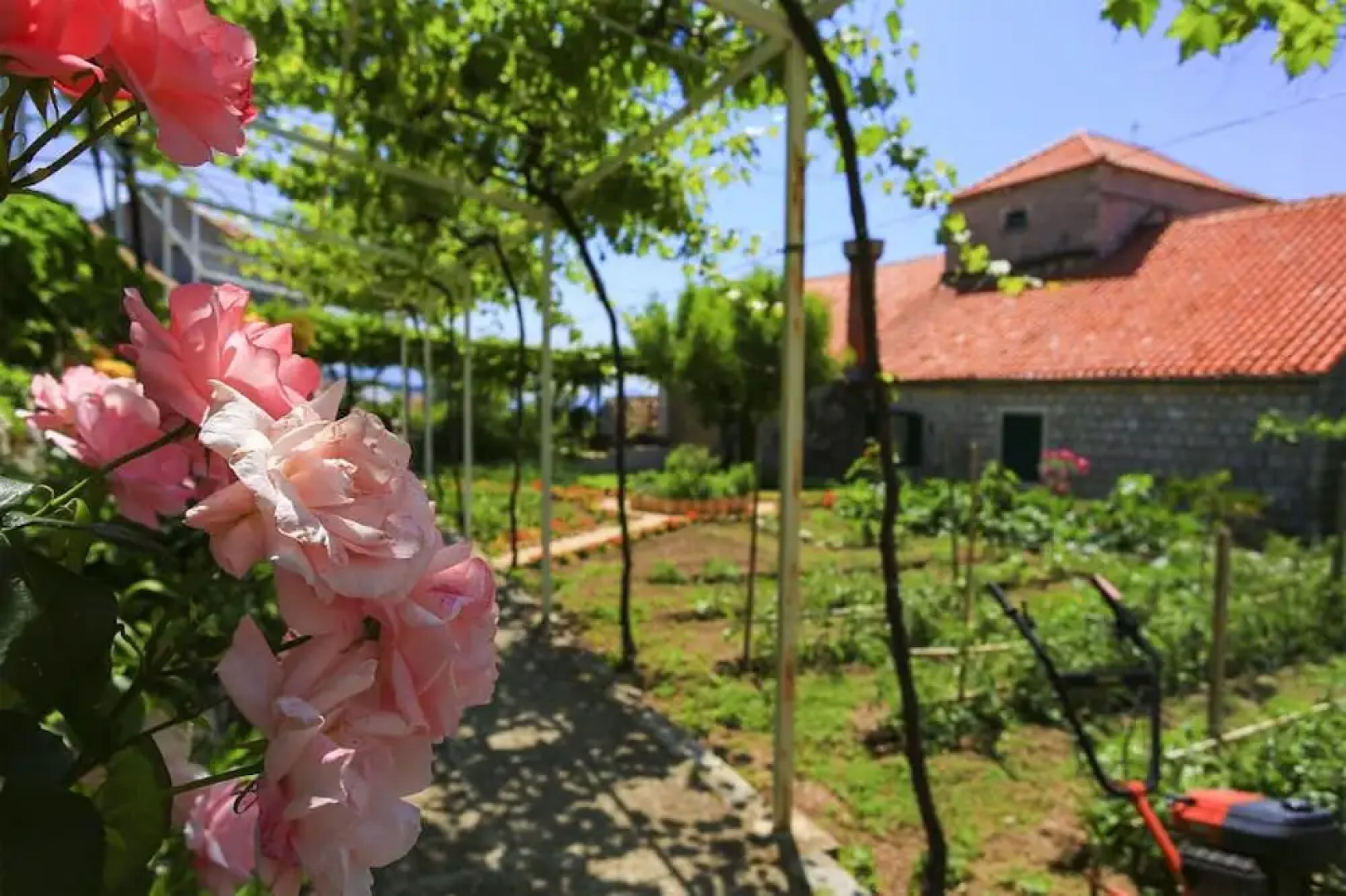 Guest House Savonari