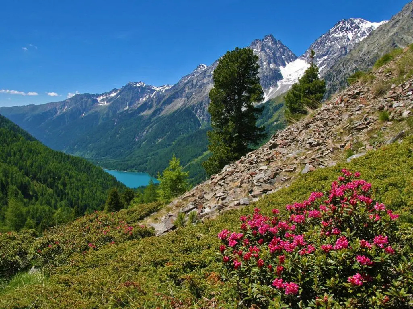 Haus Ploner - Pichlerhof