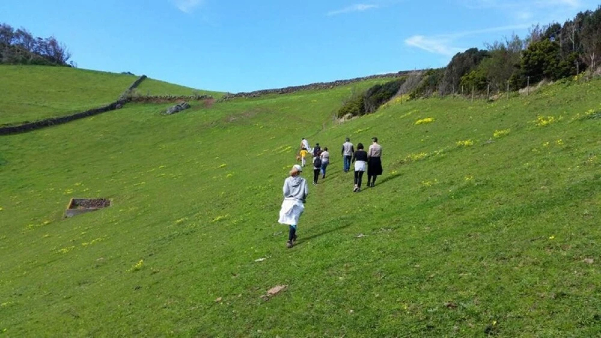 House With one Bedroom in Praia da Vitória, With Wonderful sea View, E