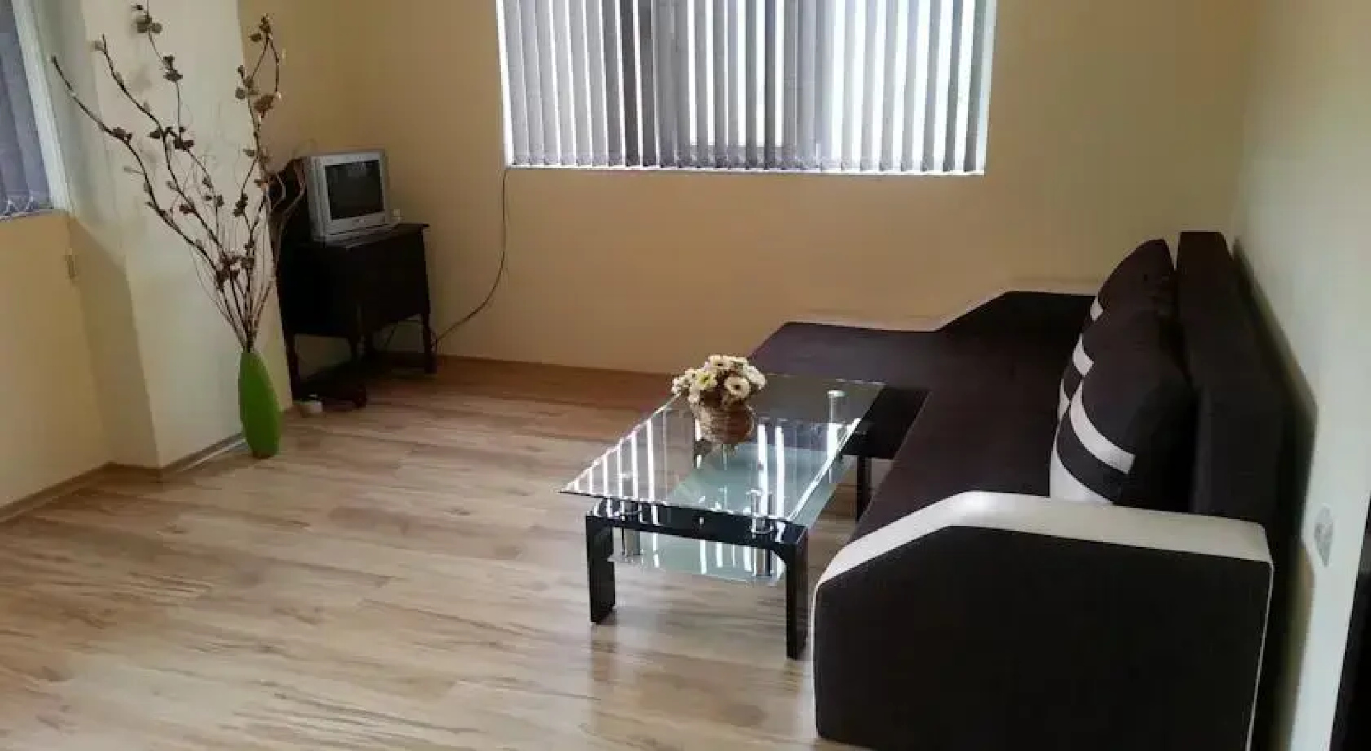 Tryavna Apartment