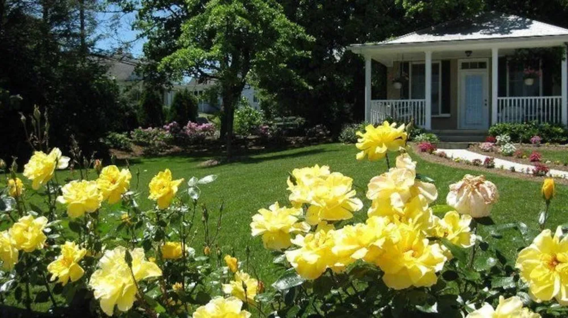 Trinkle Mansion Bed & Breakfast