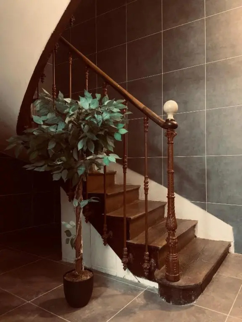 Studio Renard, Style Boheme Et Atypique, Curistes