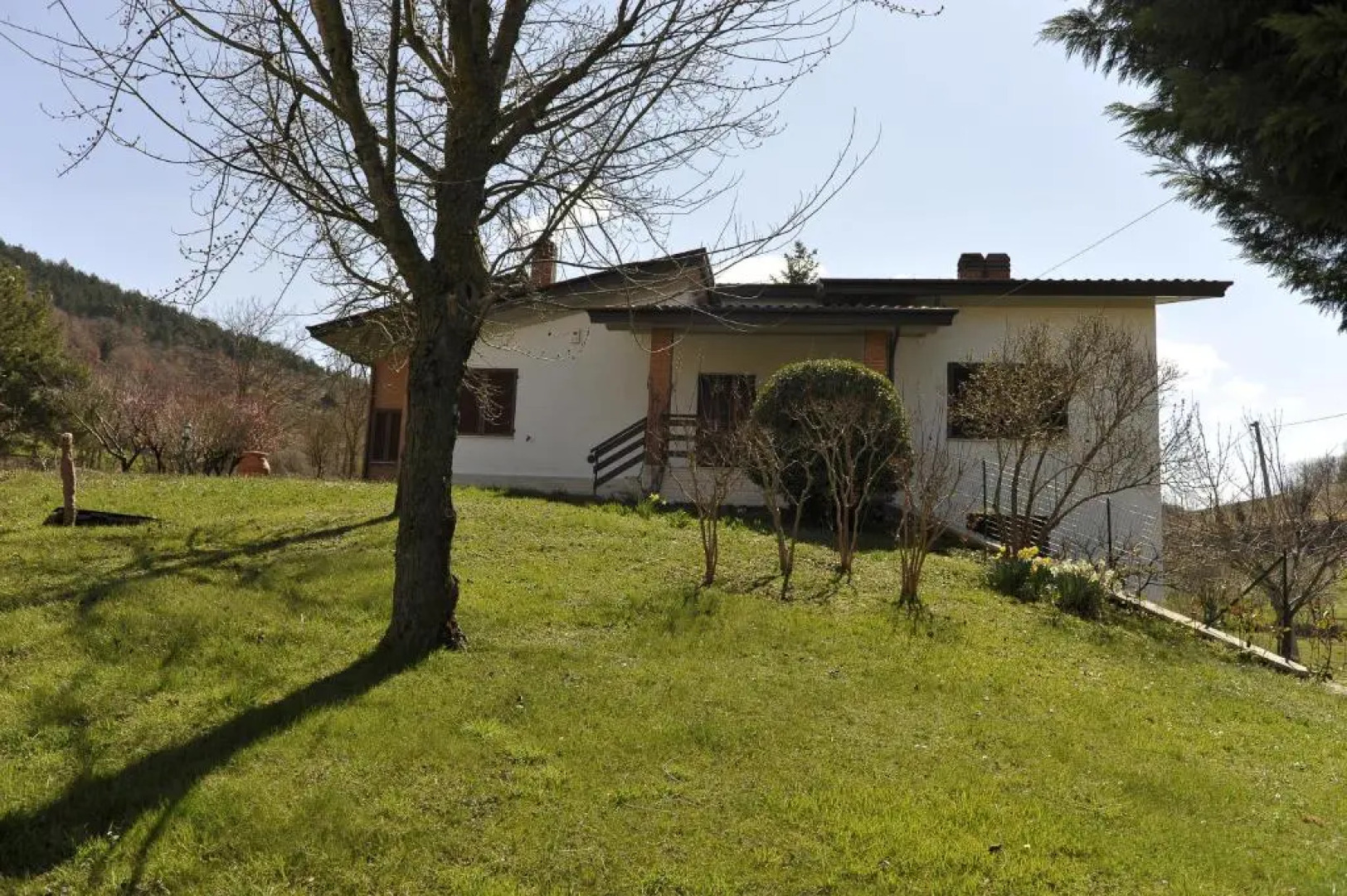 Aleanna Appartamenti