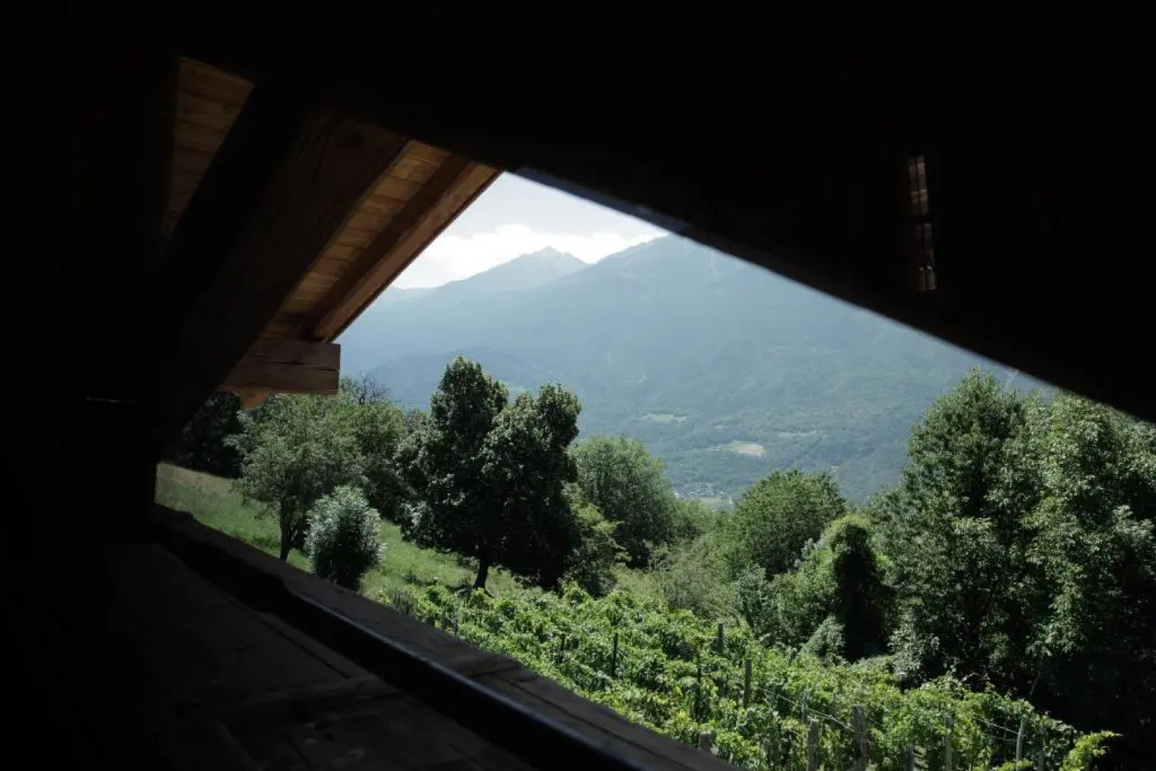 La casa di paglia B&B