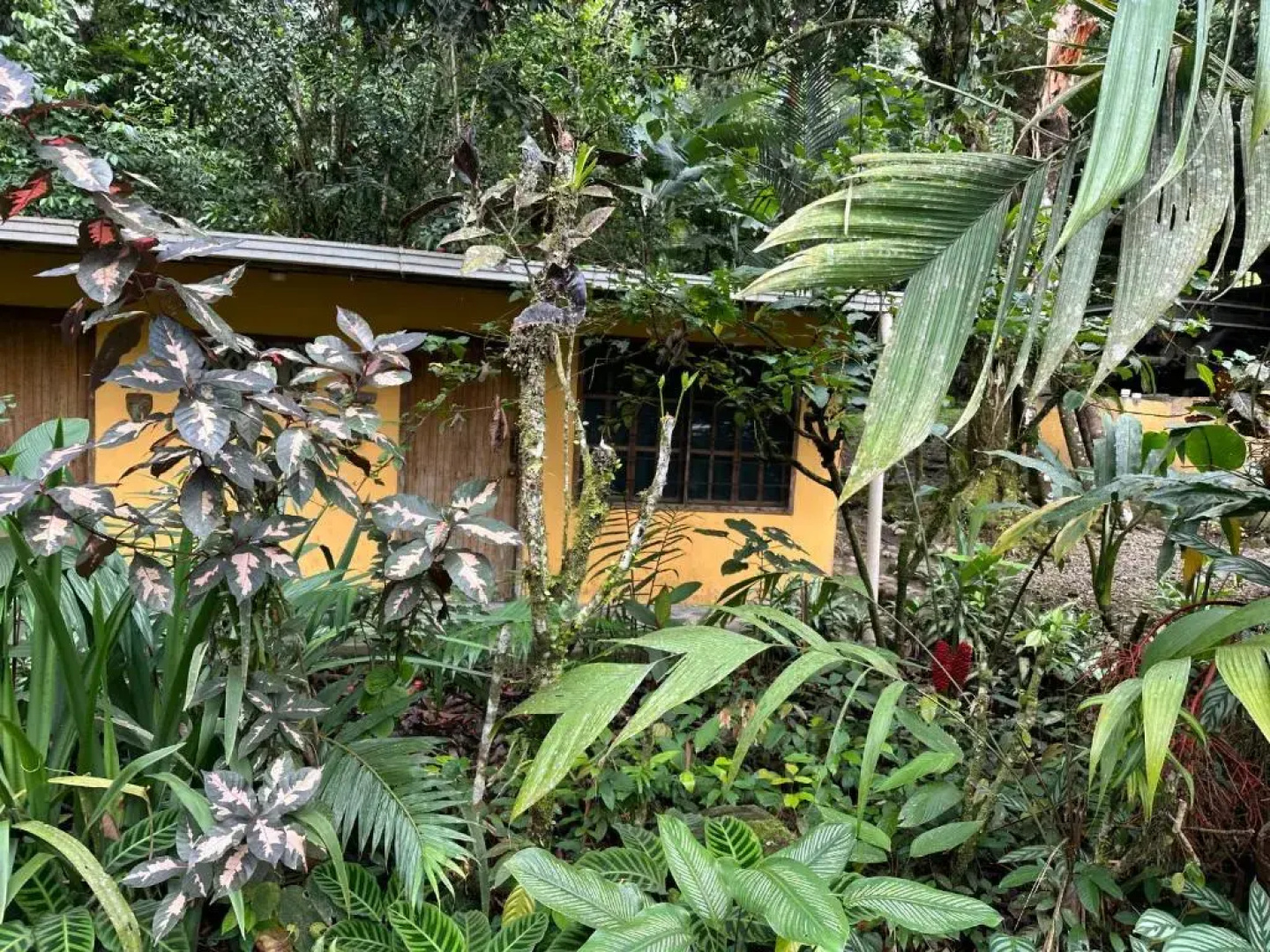 Casa Rio Blanco Eco Friendly B&B
