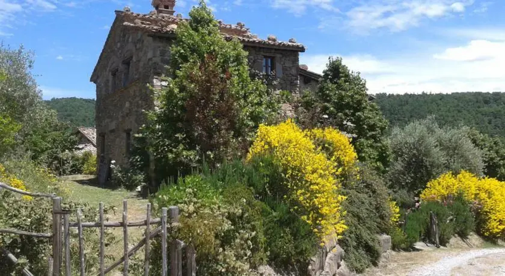 La Tortorella - Greppolischieto