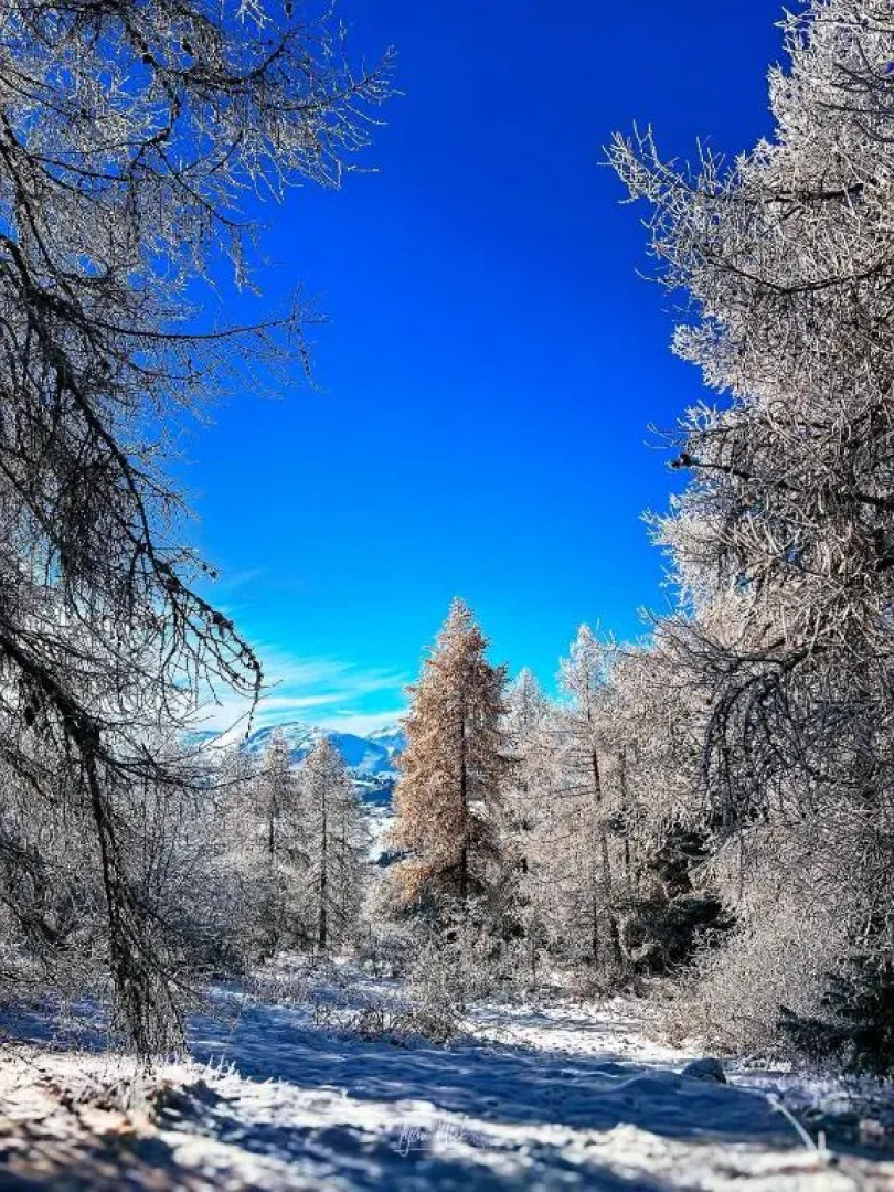 Mobile Home Avec Parking