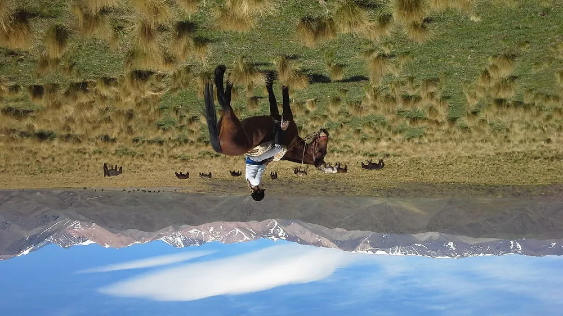 Estancia La Alejandra