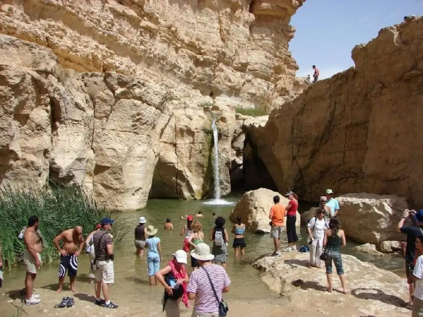 Villa Atlas Oasis