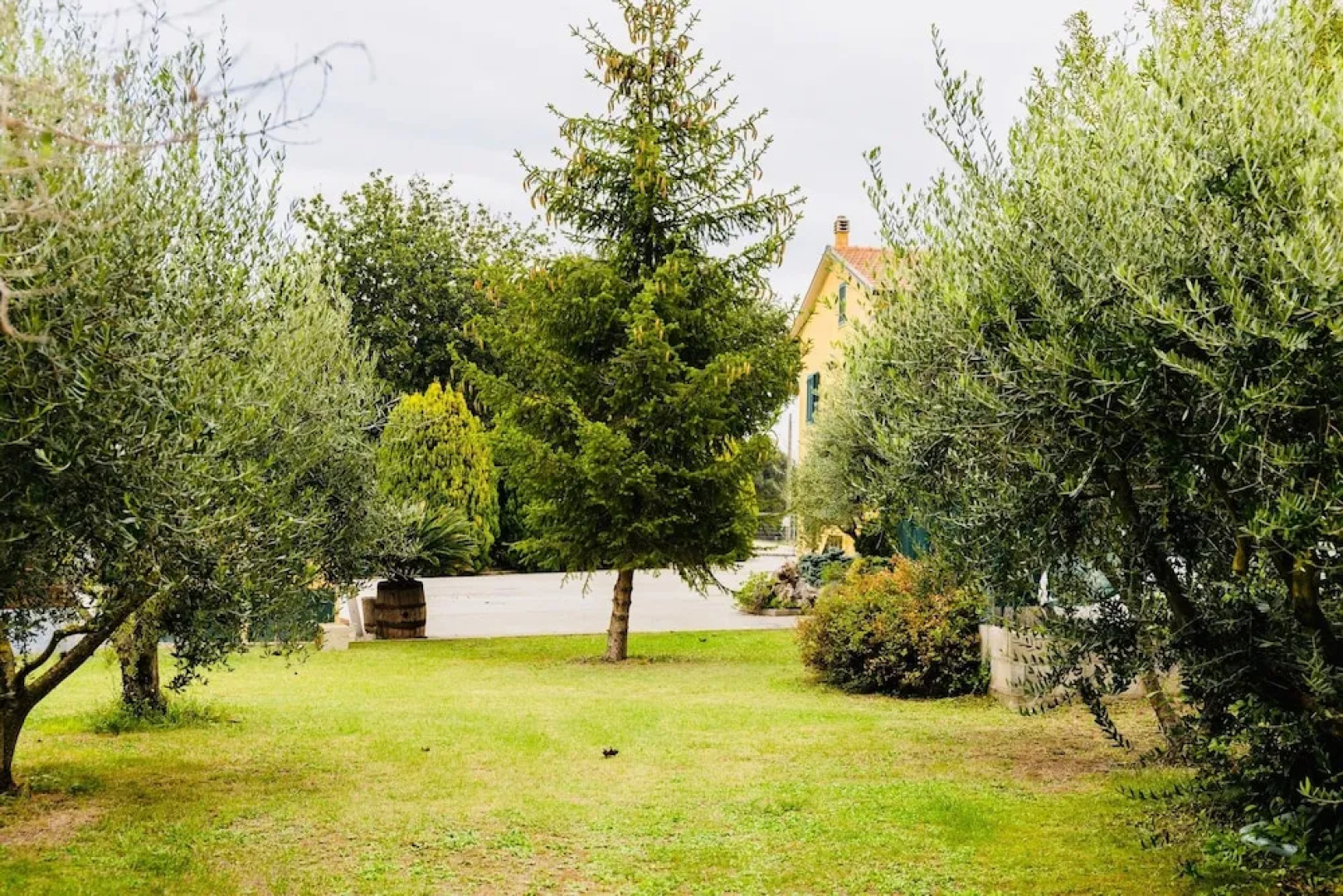 il Casale di Nonno Guido