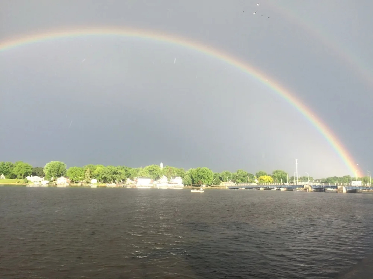 The Landing on the Wolf