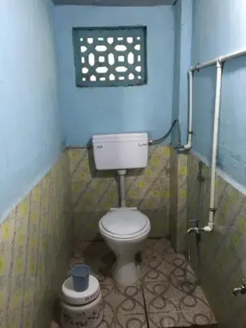 Green Fog Guesthouse