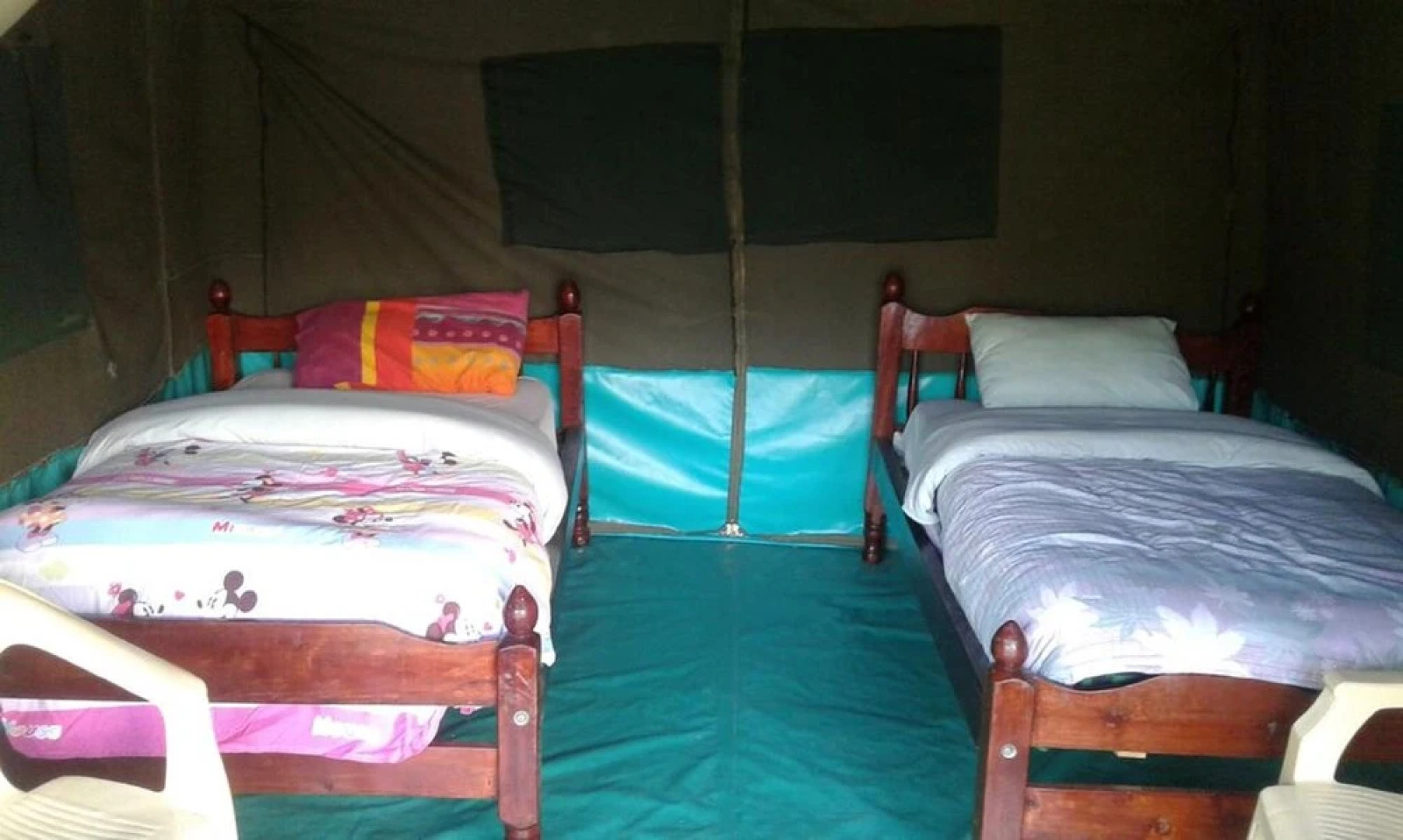 Cactus Eco Camp and Lodge