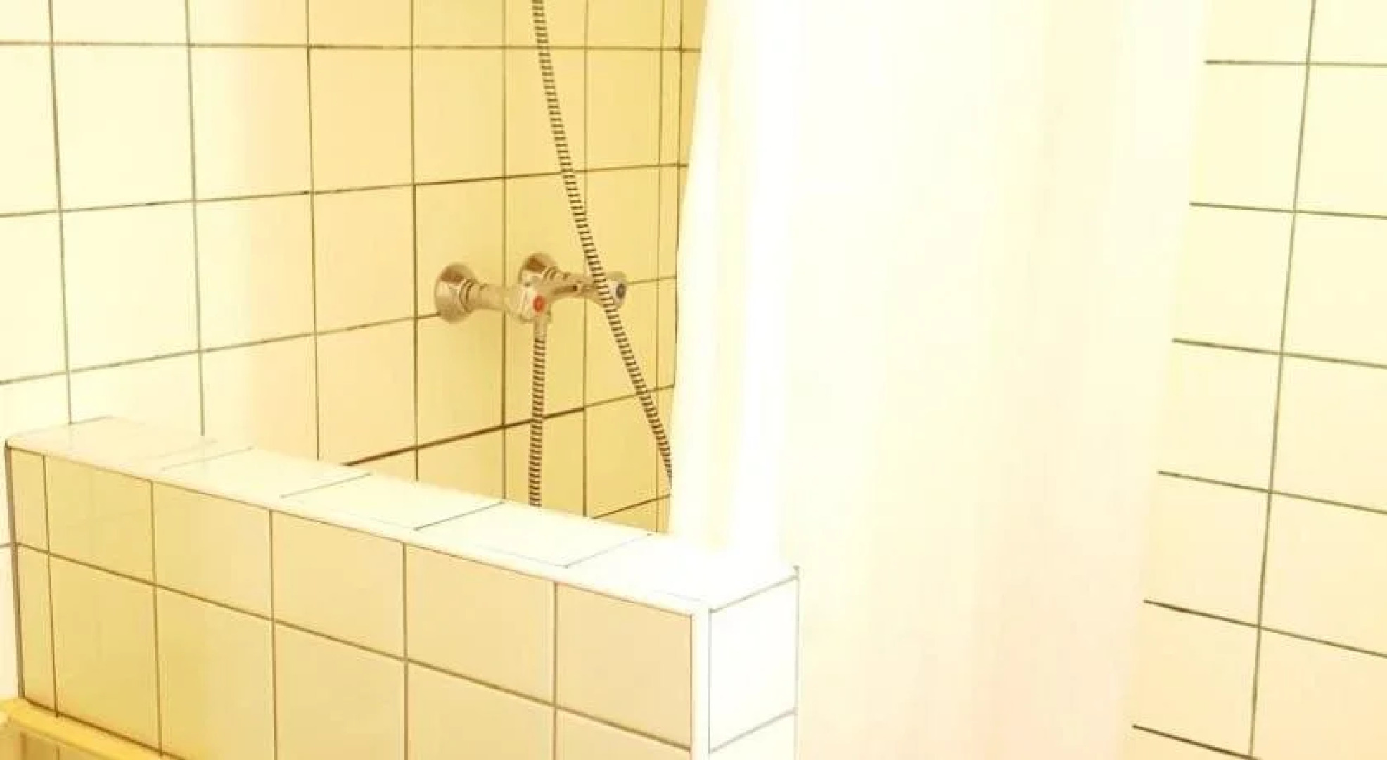 Gasthof zum grnen Baum