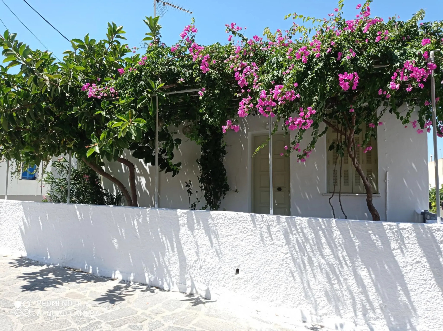 Gala Home Traditional House