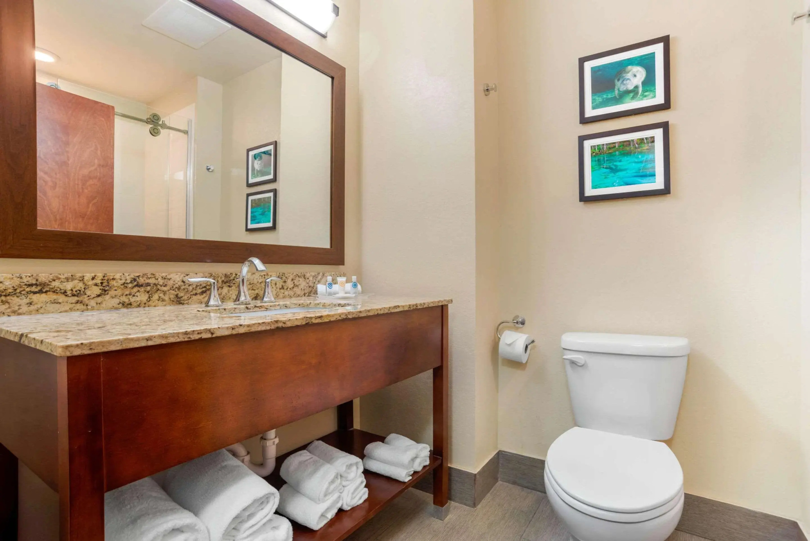 Comfort Suites Tallahassee Capitol - University Area