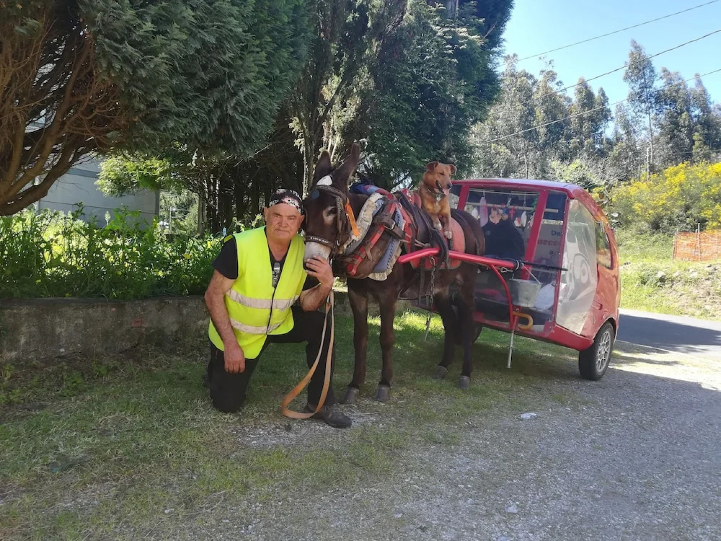 Albergue O Bordon - Hostel