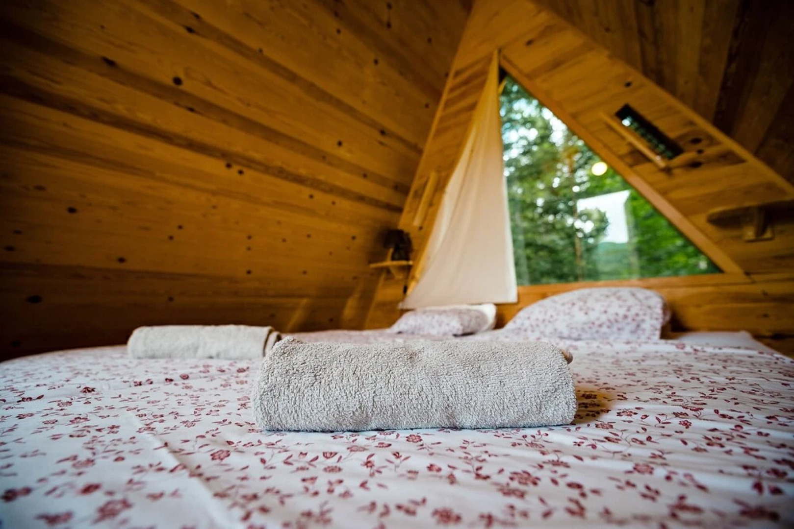 Glamping FOREST EDGE