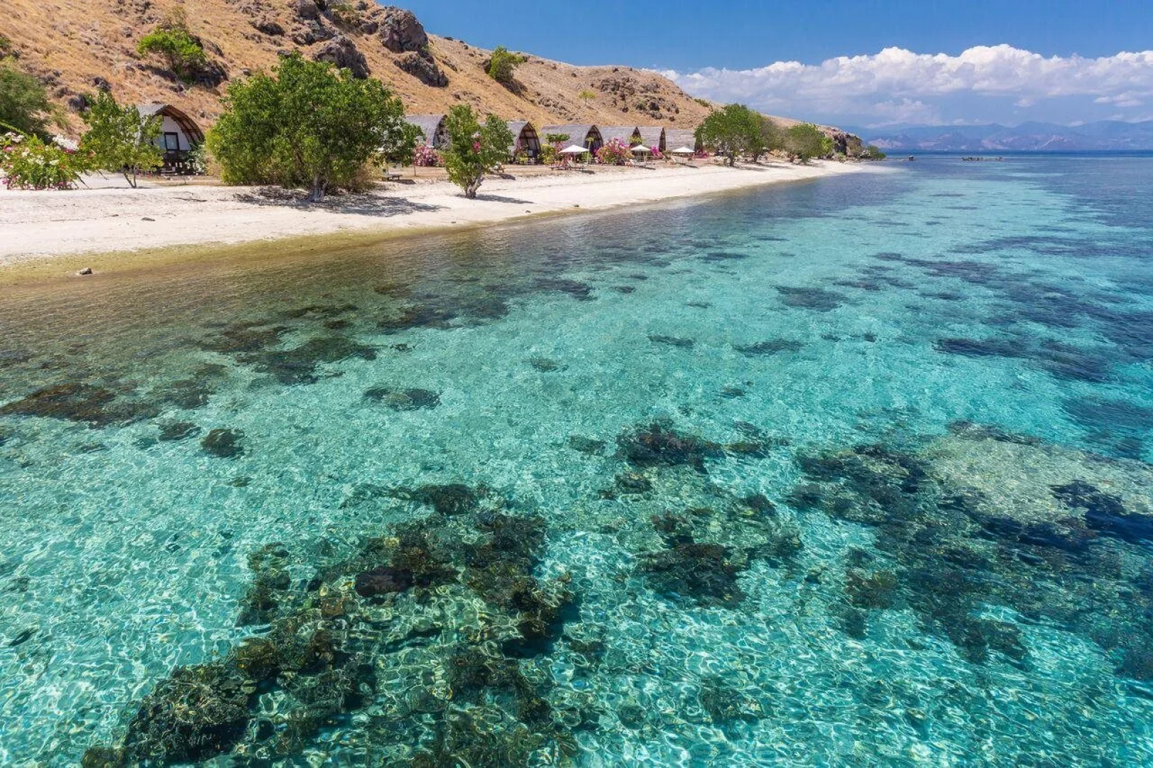Komodo Resort