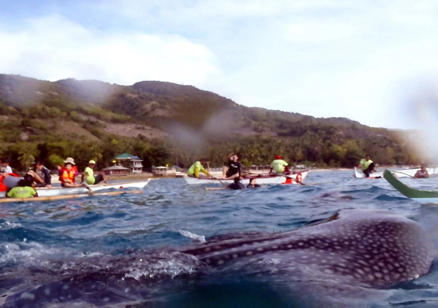 Tropico Scuba Diving Resort