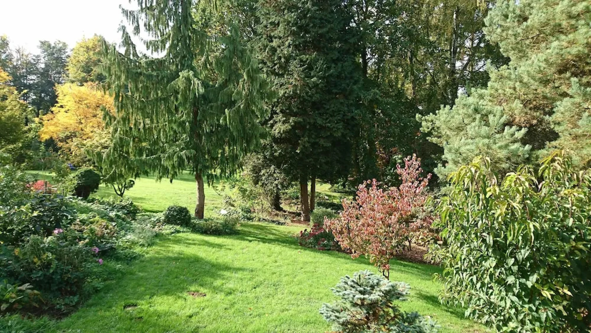 La Maison Aux Fleurs