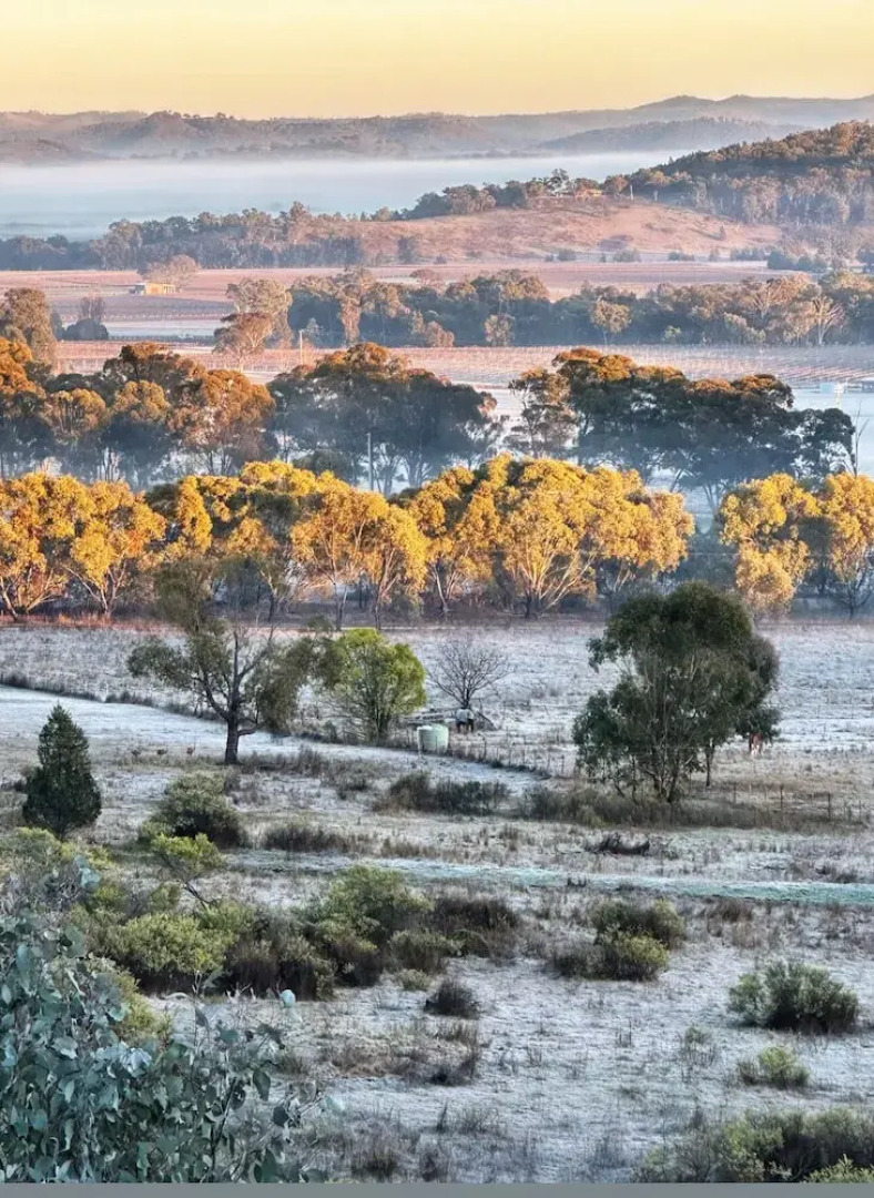 The Mudgee Homestead Guesthouse
