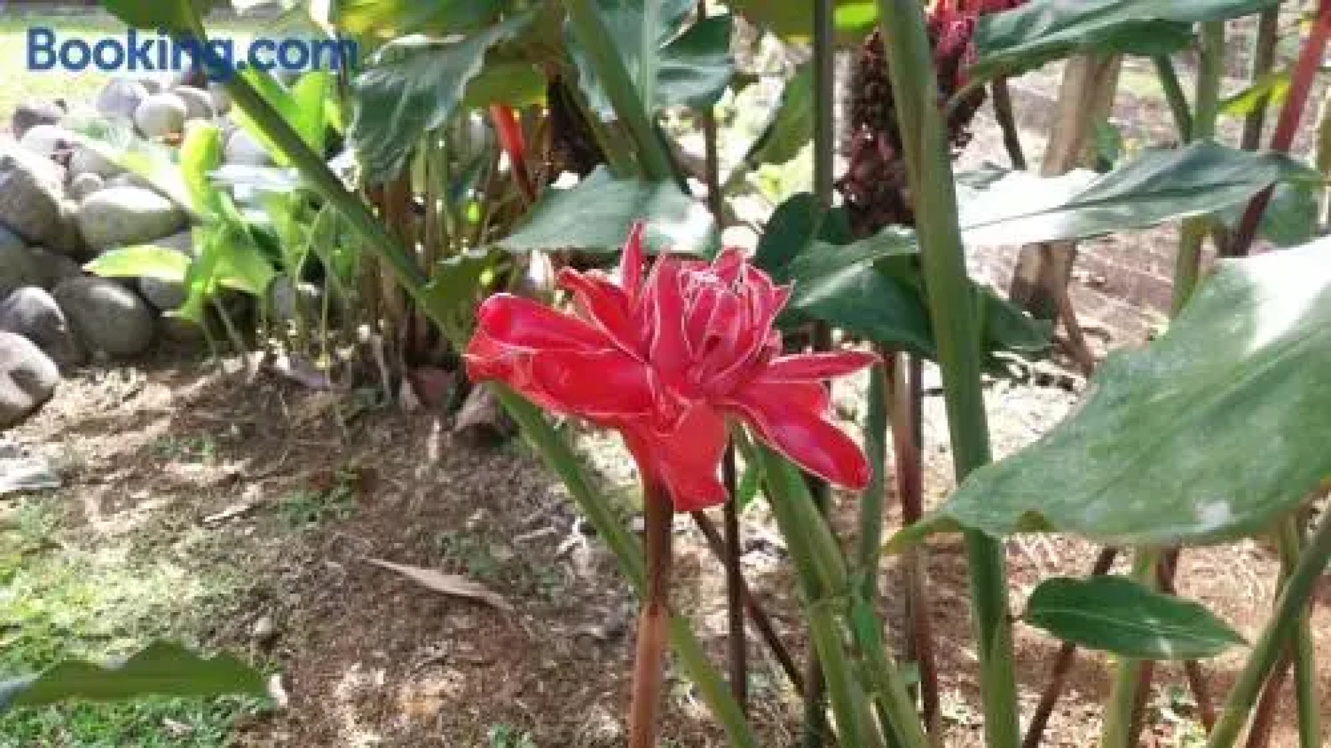 Posada Rural Oasis