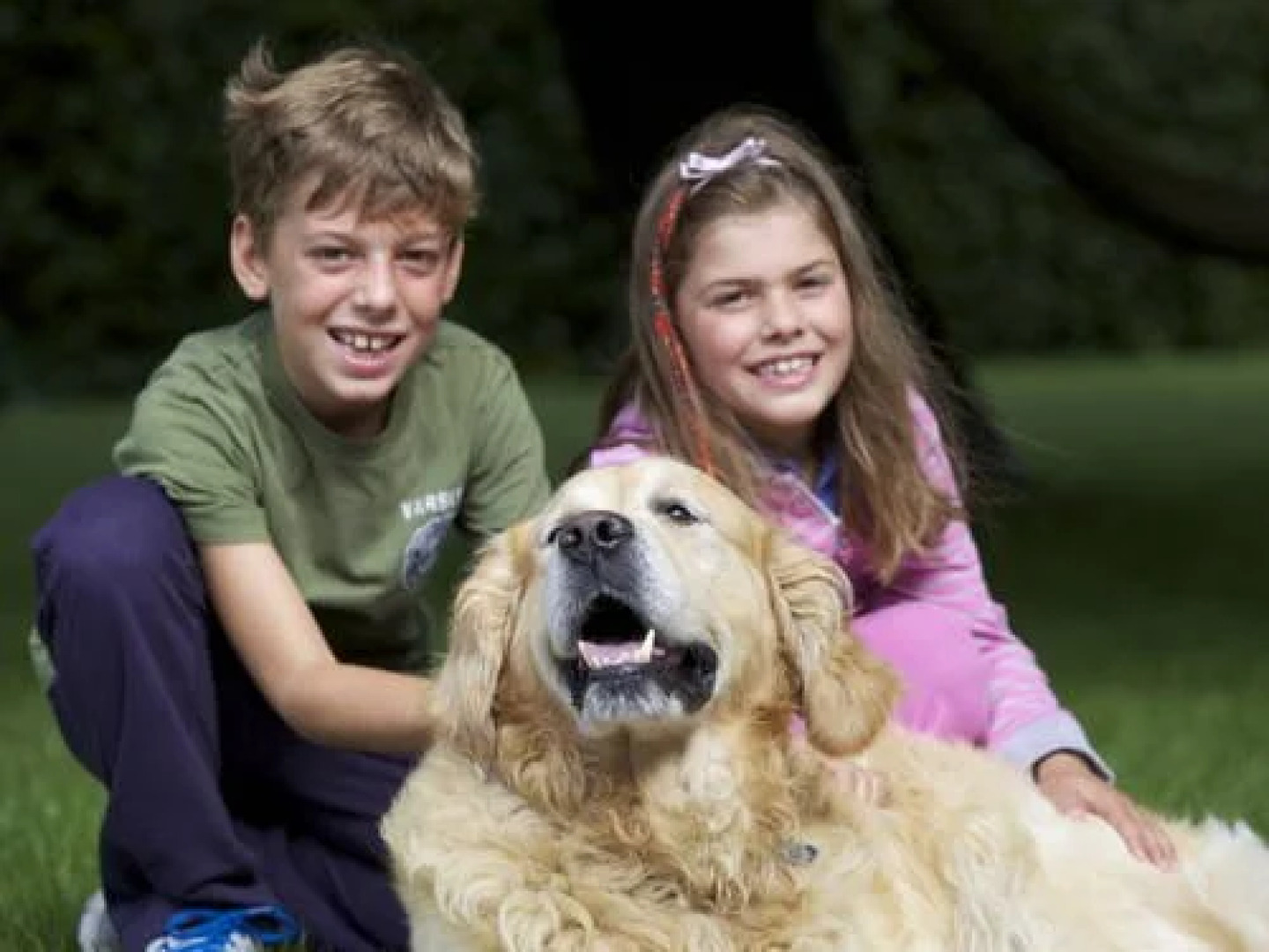 Lillevang Apartments