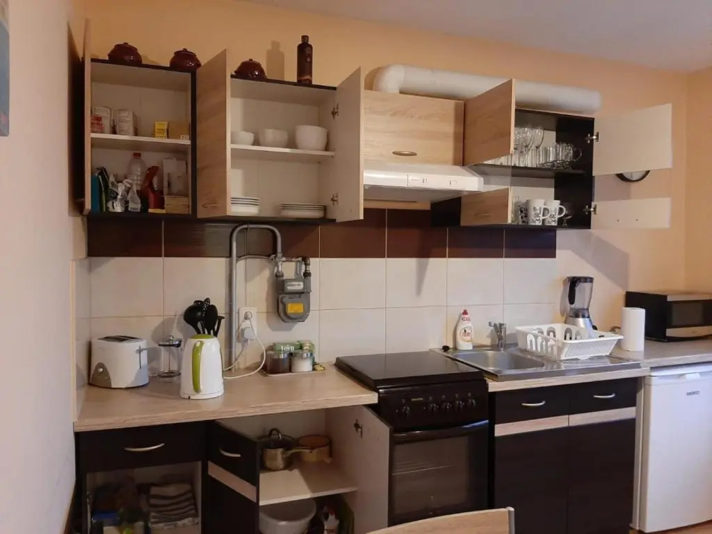 Ergli Apartment