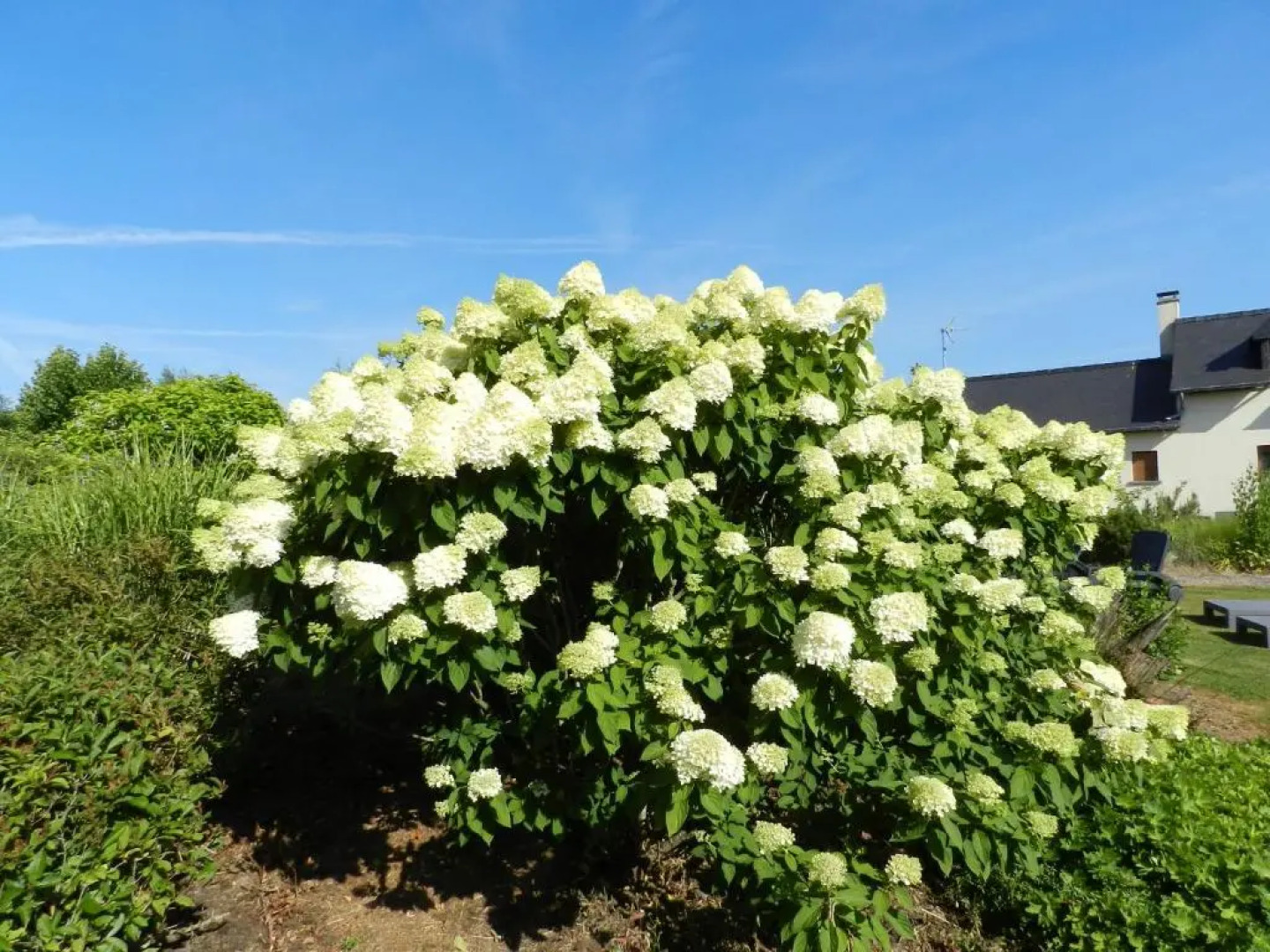 Gîte La Grenouillère