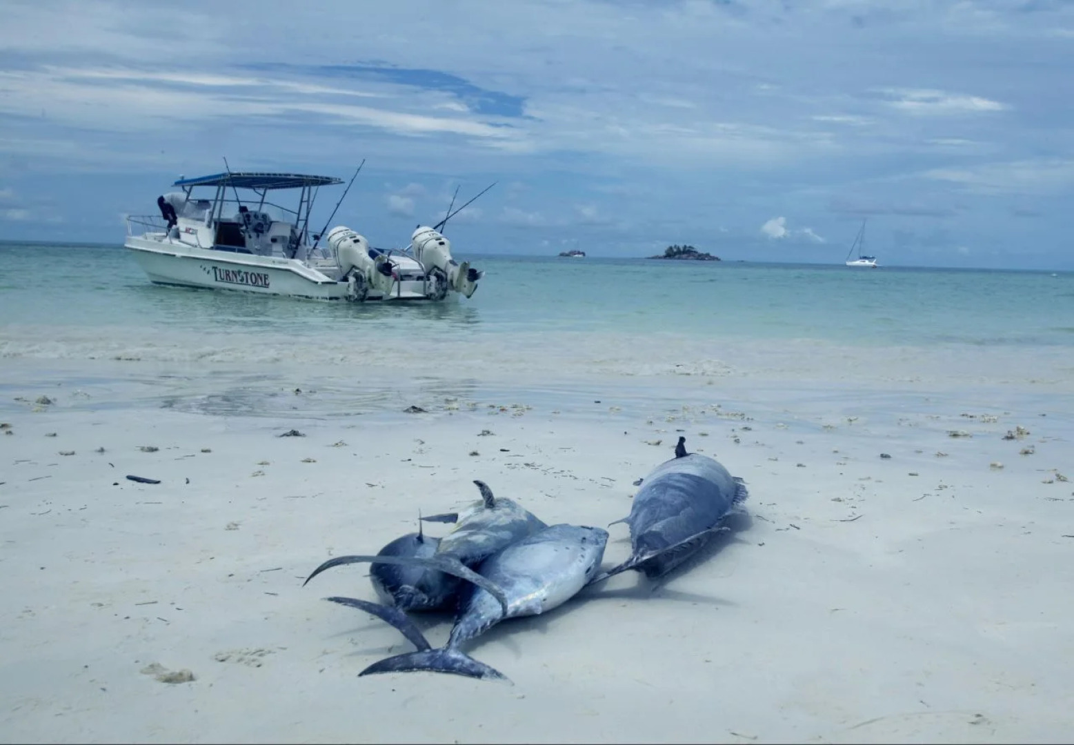Paradise Sun Hotel Seychelles