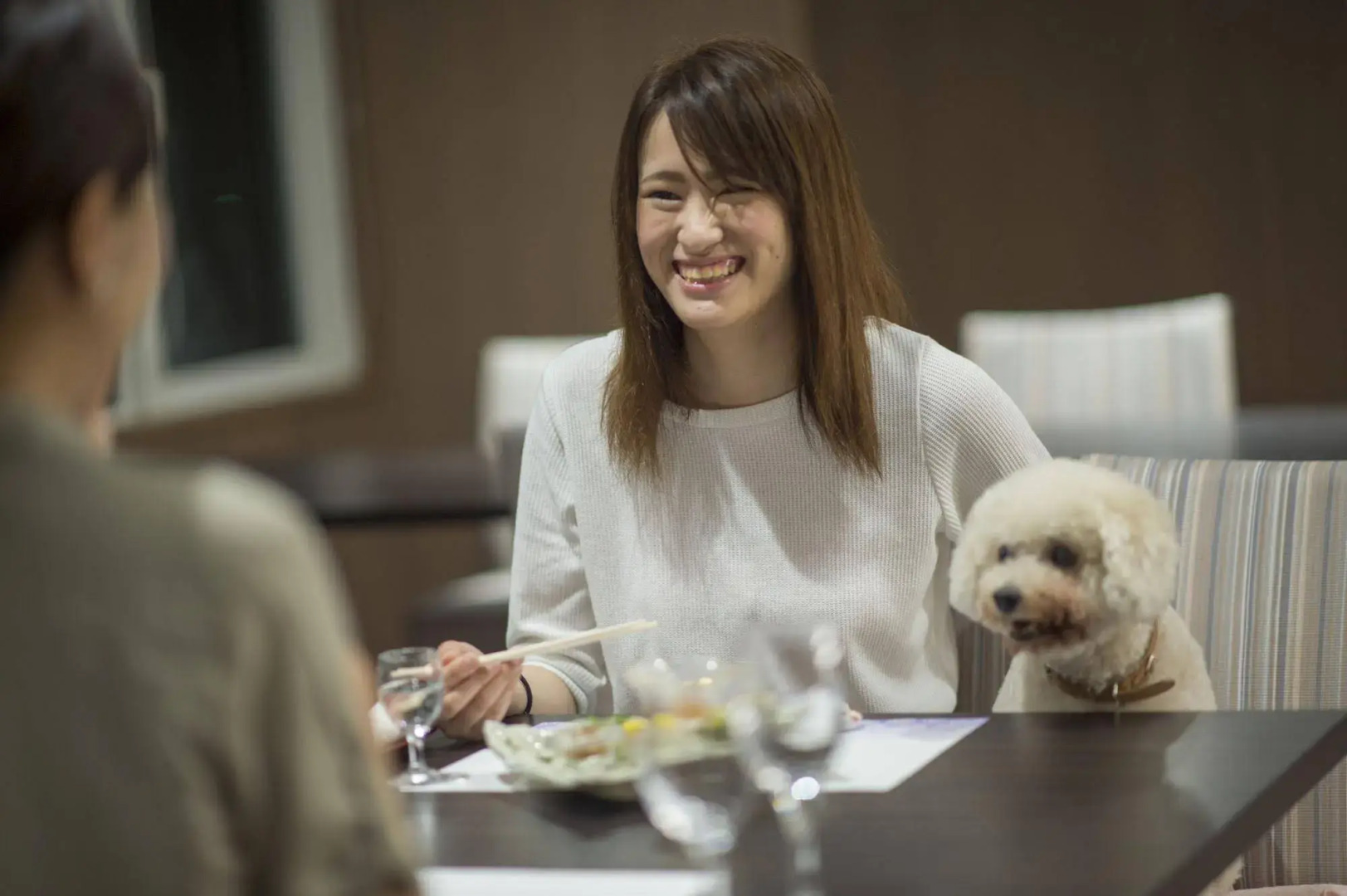 Izumigo Toba Dog Paradise Hotel